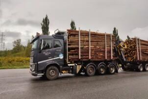 Volvo FH 16 650 Puuauto